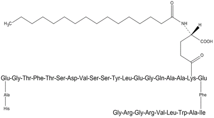 Liraglutide利拉魯肽