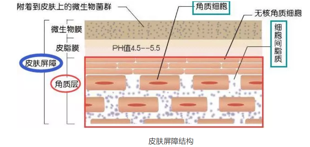 微信圖片_20220712115718.png